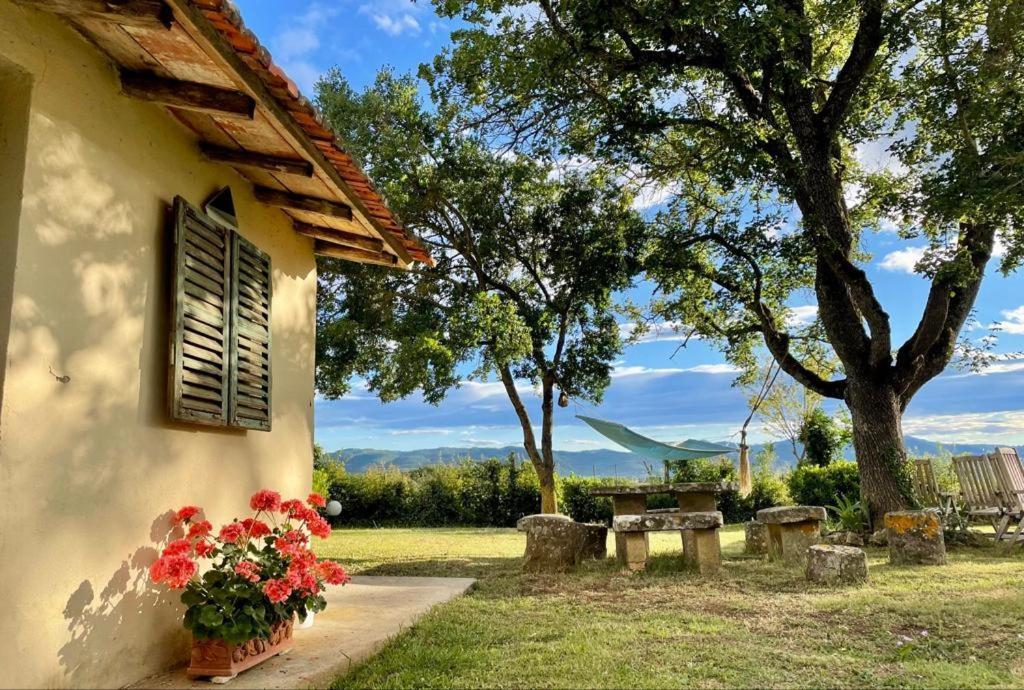 Casa Le Rondini Toscana Bucine Exteriör bild